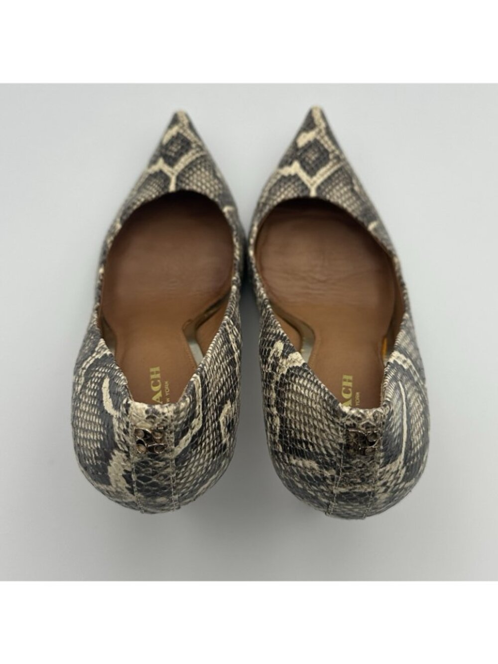 Coach Teddie Pumps Women's 8 US Leather Animal Print Heels Shoes Q4676/A6473 - Picture 8 of 15